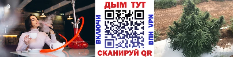 Шишки марихуана сатива Волгодонск